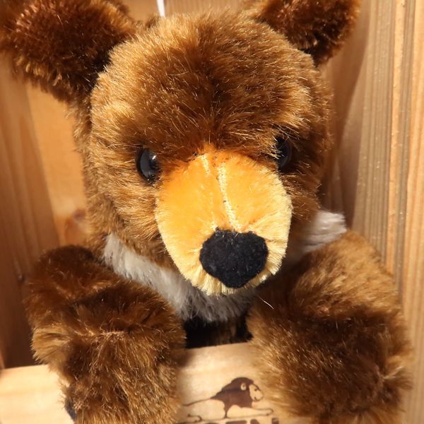 KOESEN CINNAMON BEAR テディベア 500体限定 ブラウン モヘア