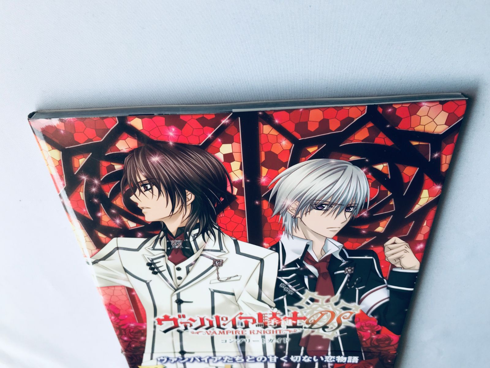 ヴァンパイア騎士DS コンプリートガイド 帯 Vampire Knight DS