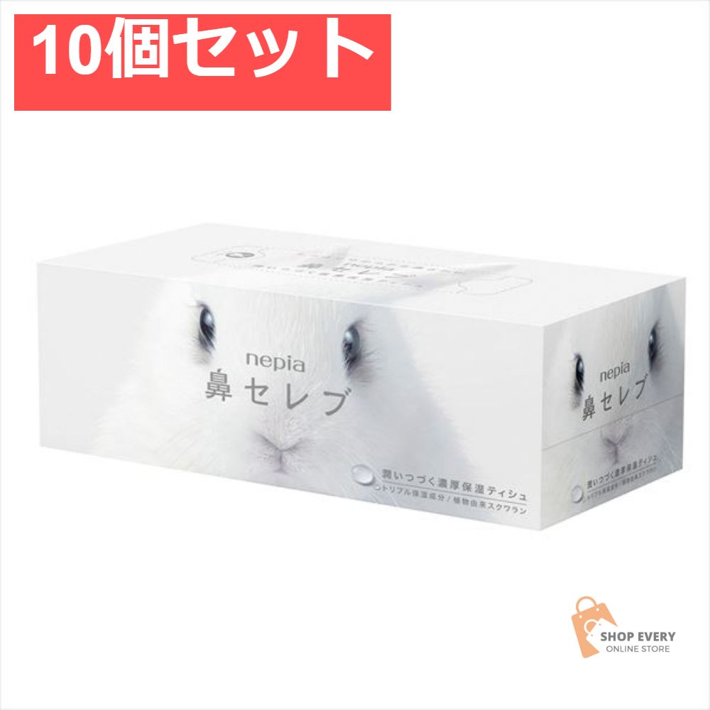 ヘルメットとセット 日本未発売 ビッグスケールF1コレクション ティレル018