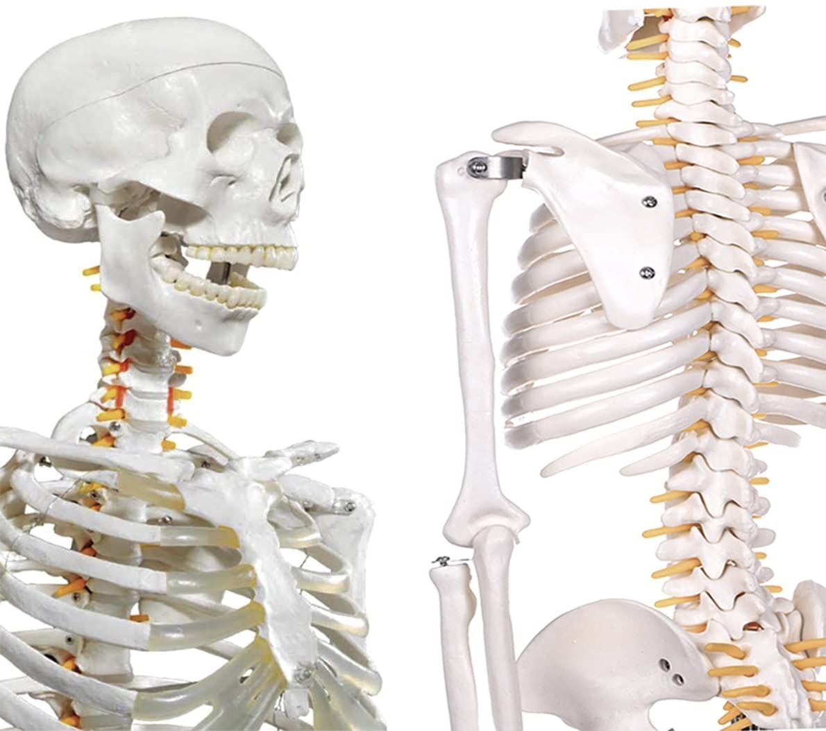 永瀬廉 キンプリ DIOR CD DVD フォト はぴぬい うちわ 銀テ 小学生女子