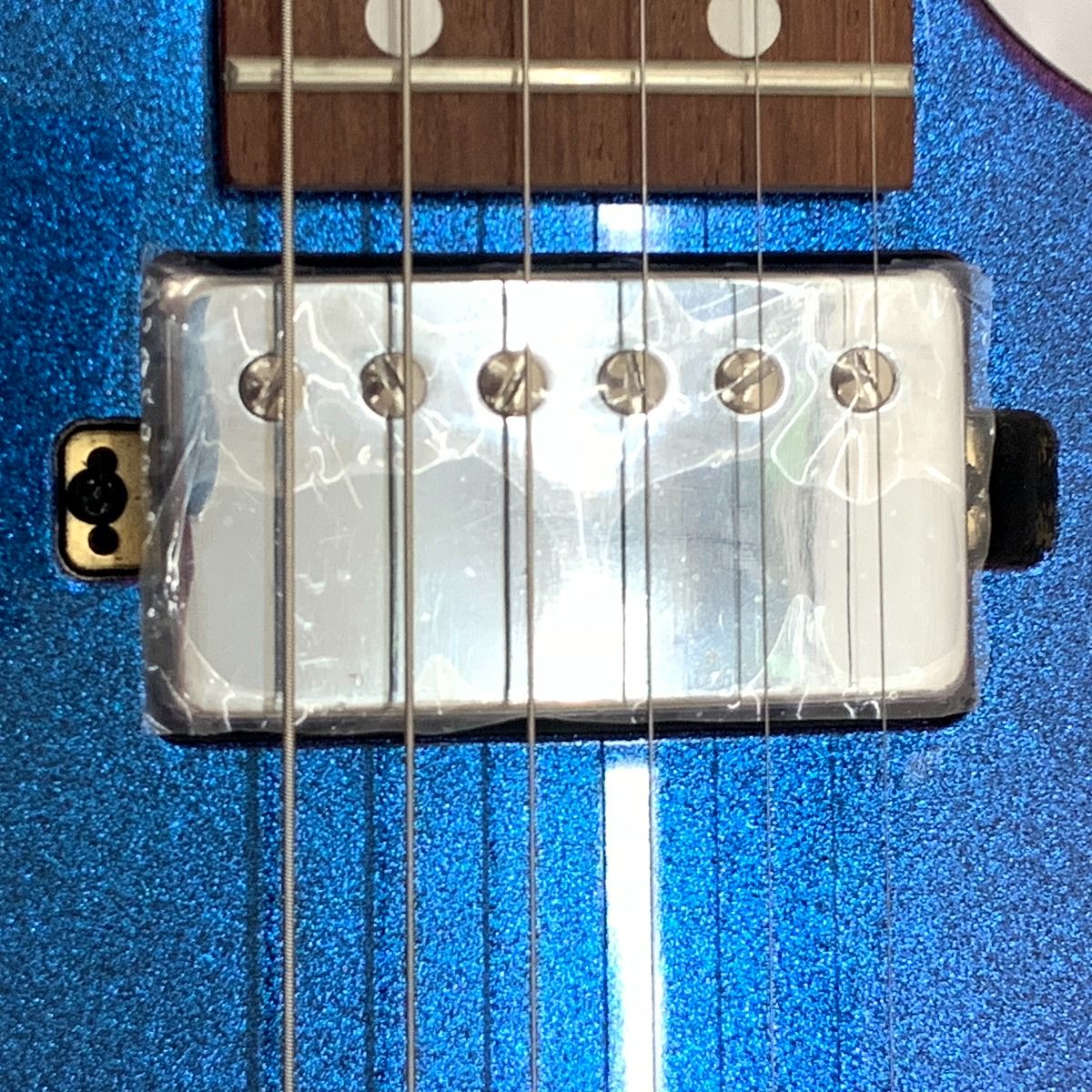 Metal Chameleon