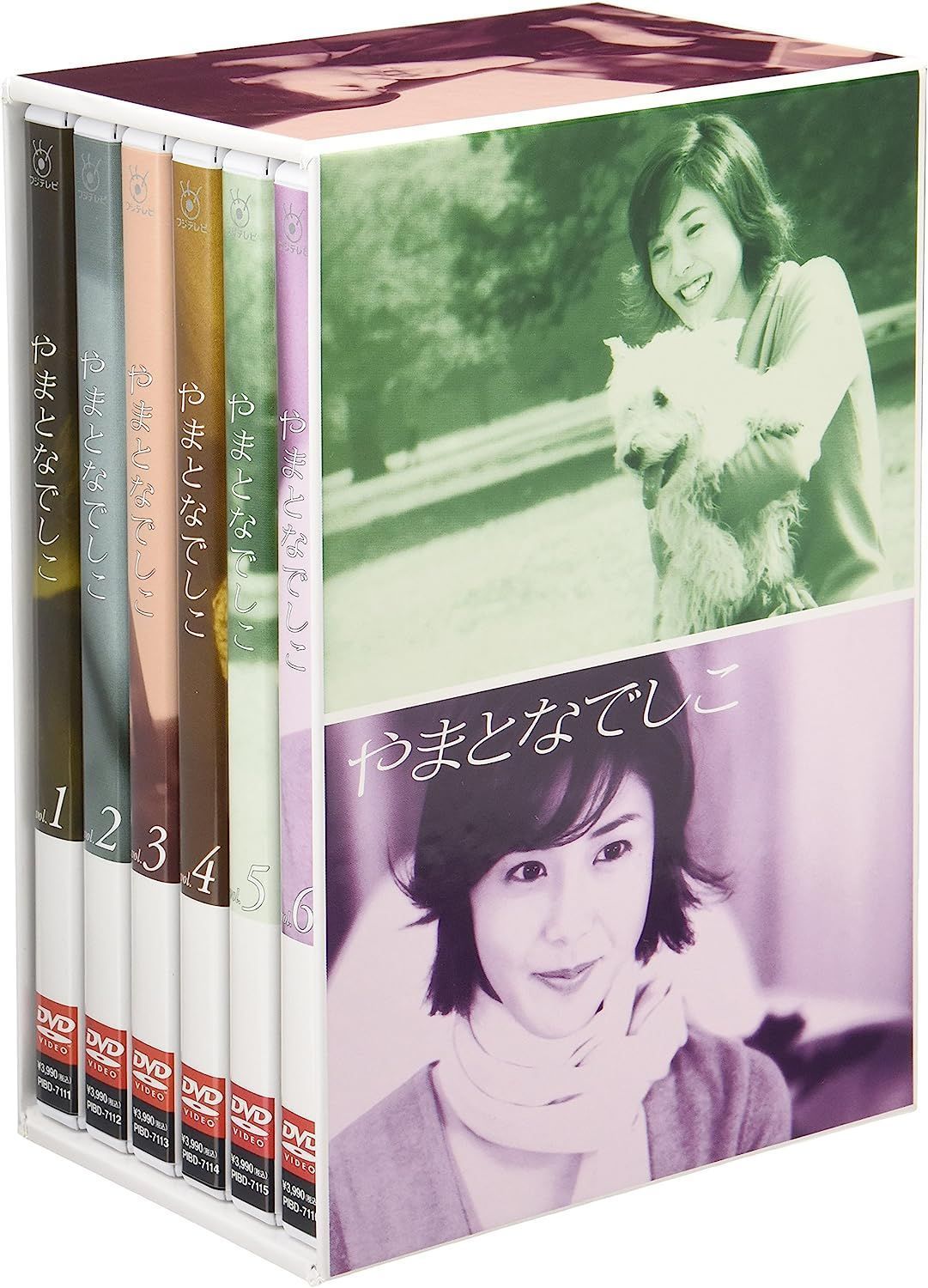 松嶋菜々子やまとなでしこ DVD-BOX〈6枚組〉