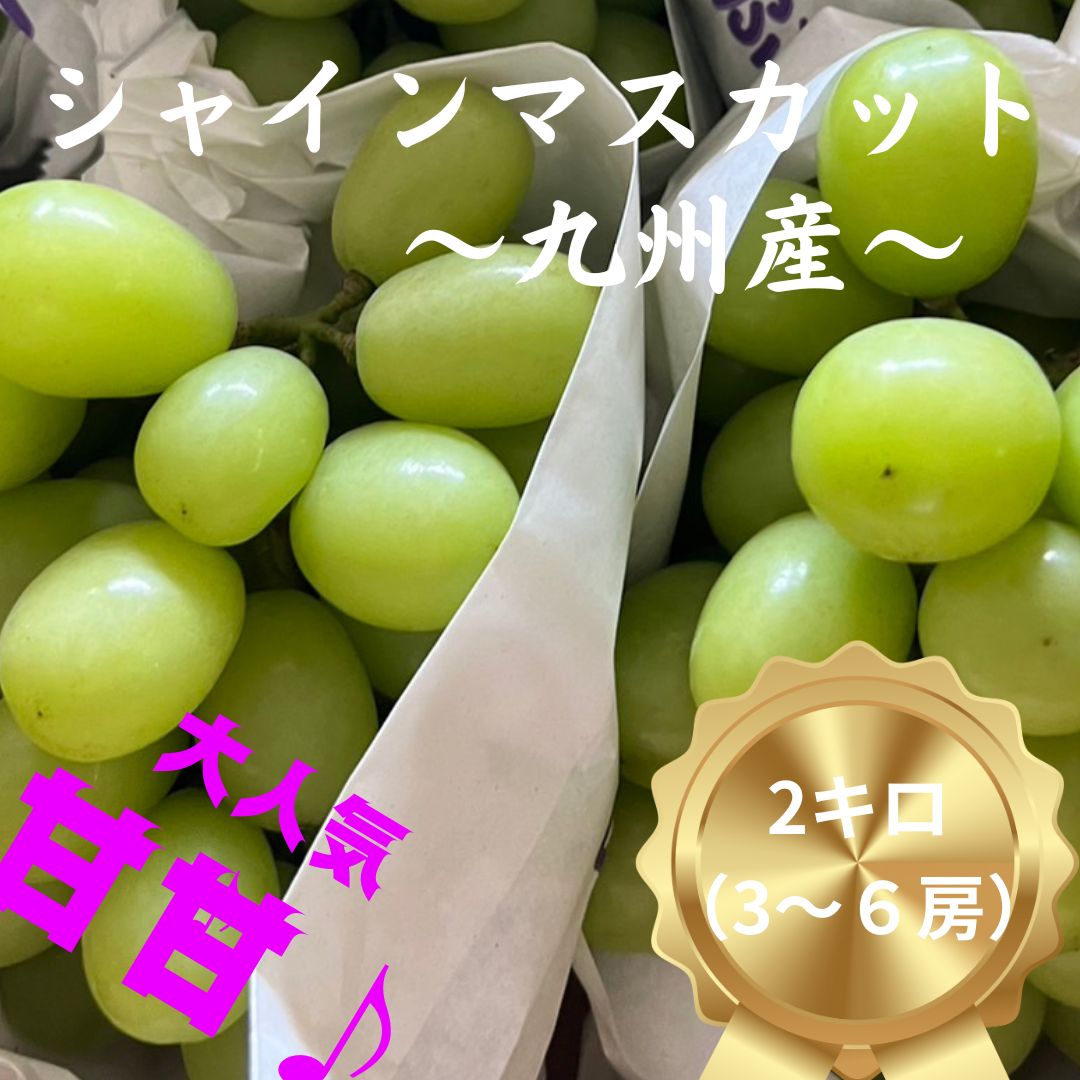有名な産地』九州 シャインマスカット 綺麗 2キロ（３〜６房）ぶどう