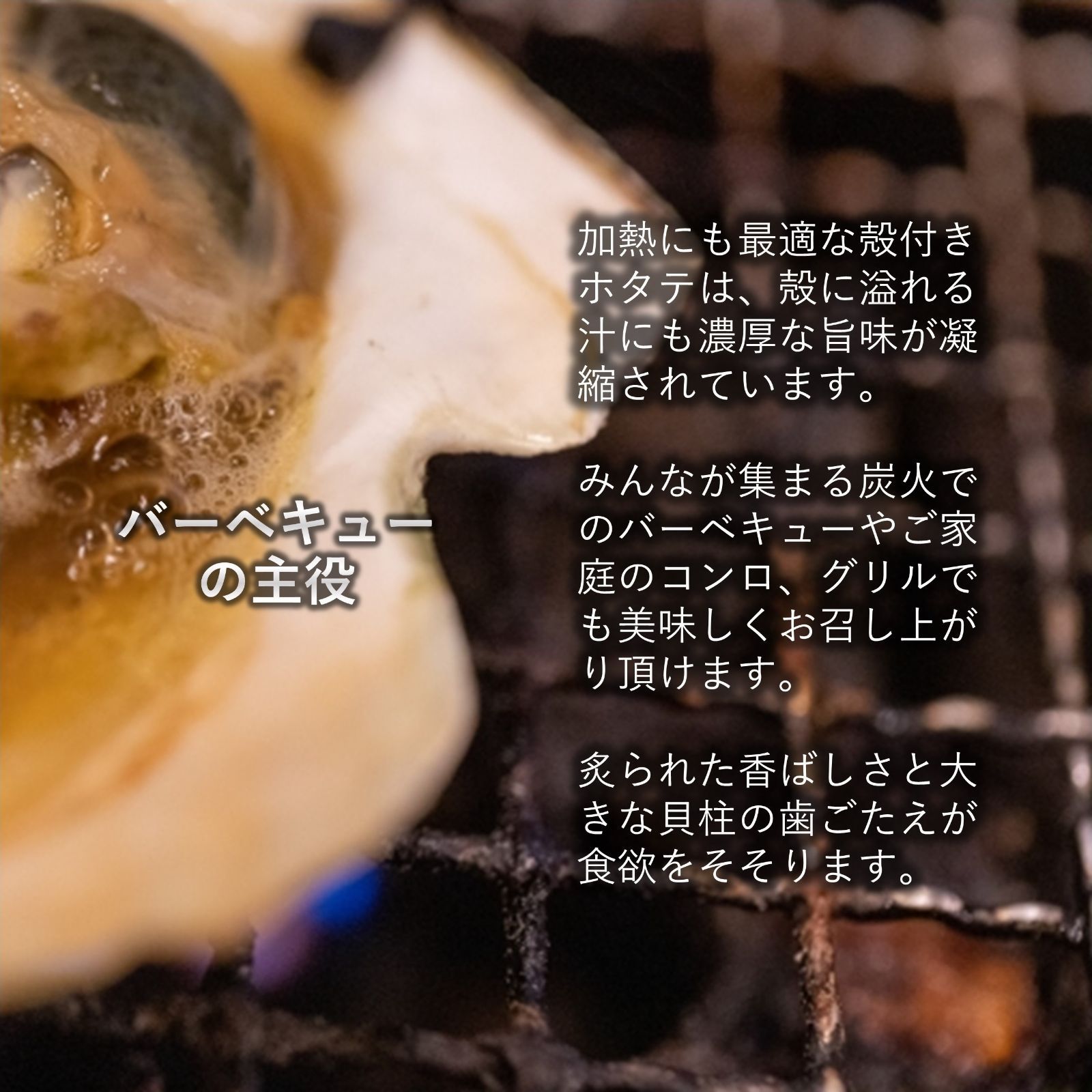 三陸産 ホタテ＆牡蠣セット 殻付きホタテ10枚 殻付き牡蠣2kg 三陸の肉厚ホタテと身入りの良い牡蠣 BBQにも最適！冷凍で旨味を閉じ込め日持ちも抜群！