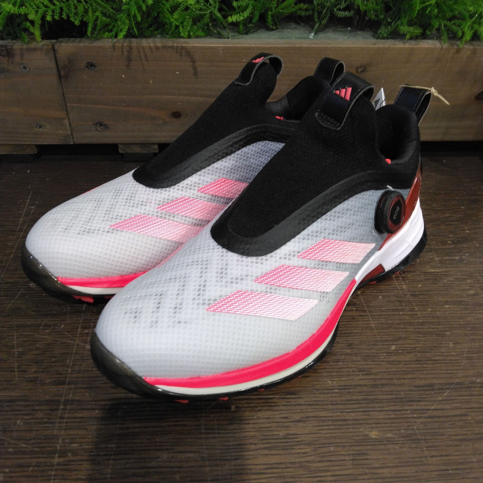 アディダス アディゼロ ゼッドジー 25 ボア NLK60 メンズ ゴルフシューズ 靴 モデル adidas 日本 大崎店