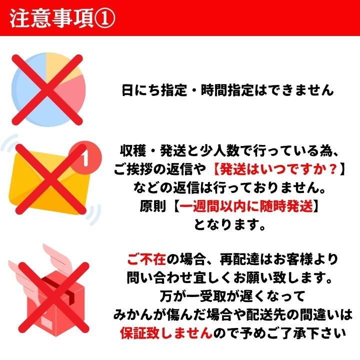 3kg 和歌山県産