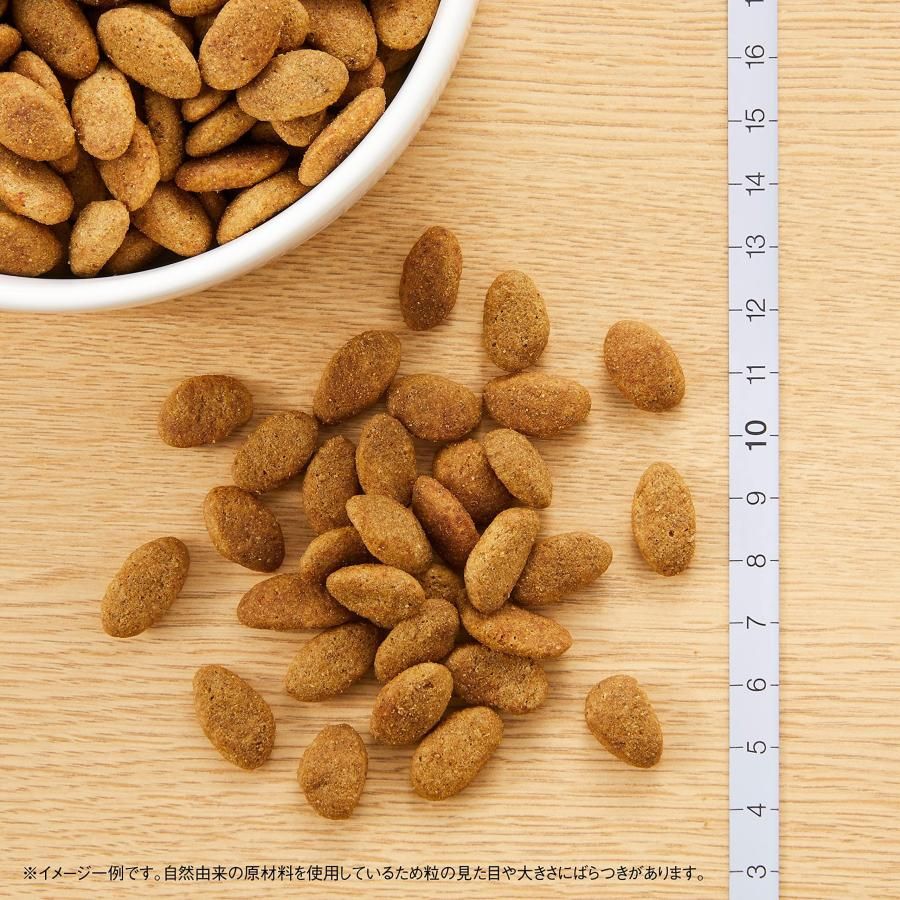 無添加|消化に良い