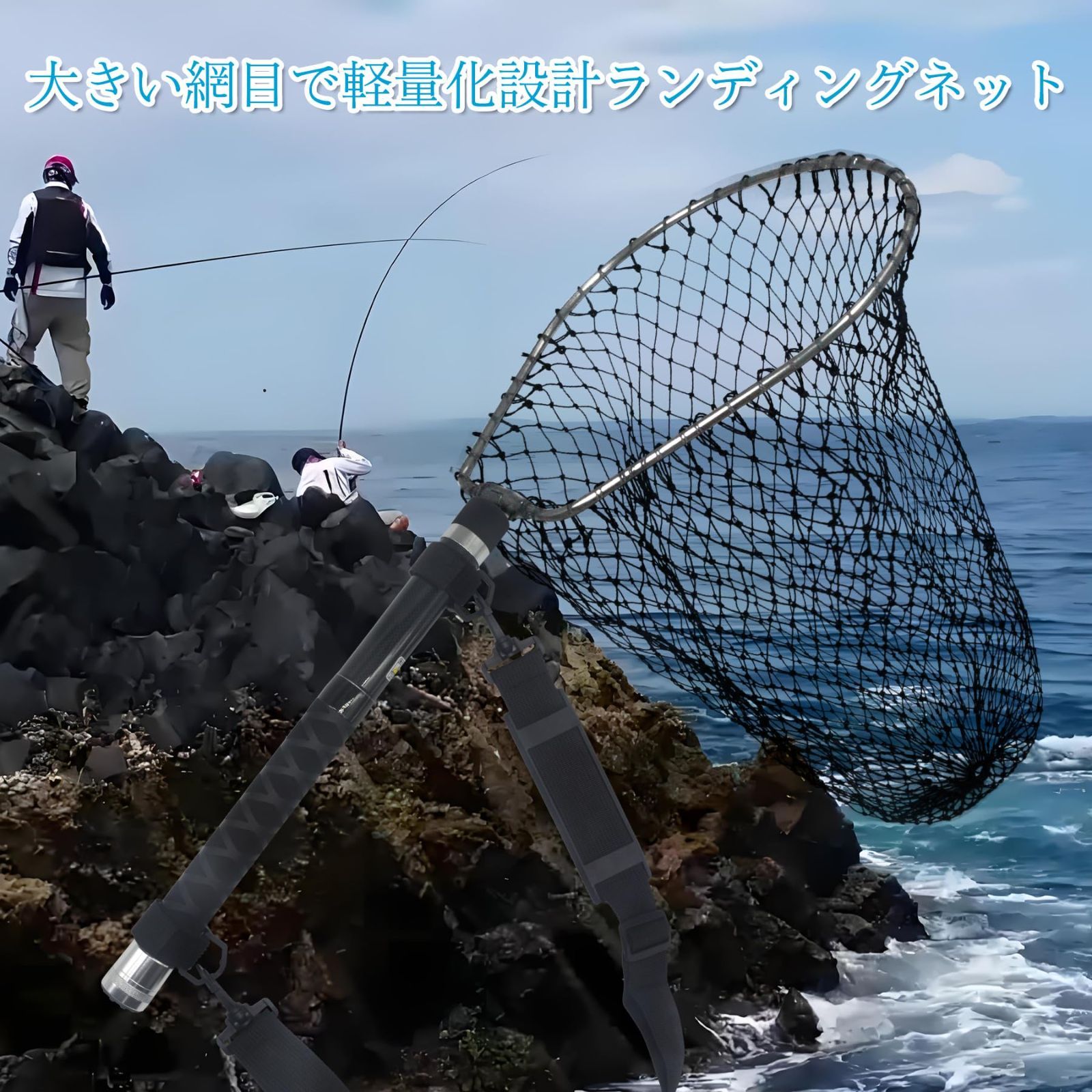 数量 2種類