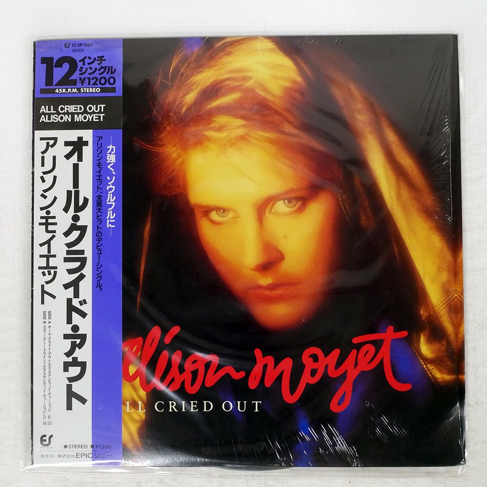 洋書 VISTA   ANDY EARL VISTA ANDY EARL 洋書