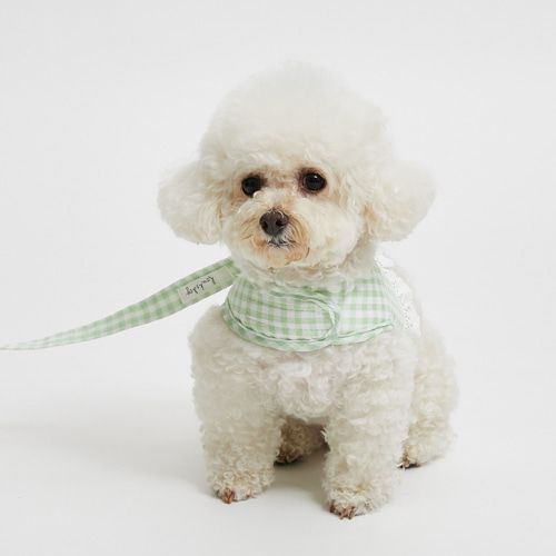 louisdog ルイドッグ