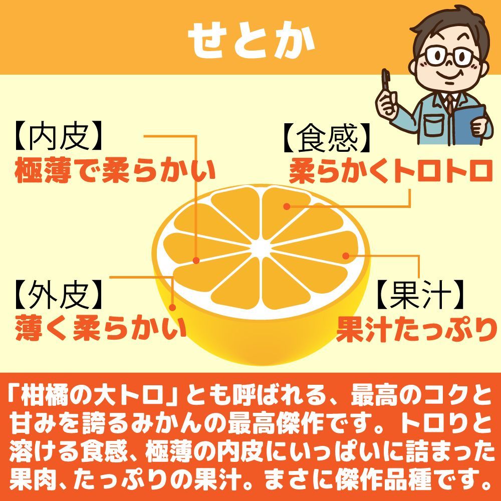みかん 愛媛産 特に訳あり せとか 箱込2.0kg（外皮の傷・シミ多め）（2月中旬～ご注文順に順次発送）※沖縄・離島・北海道は発送不可