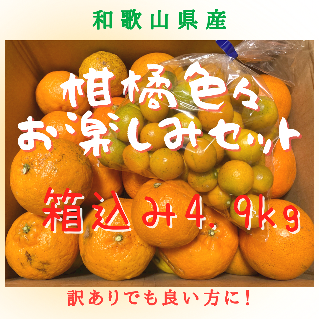 素敵でユニークな 【ご家庭用】和歌山県産・4.5kg柑橘色々お楽しみ