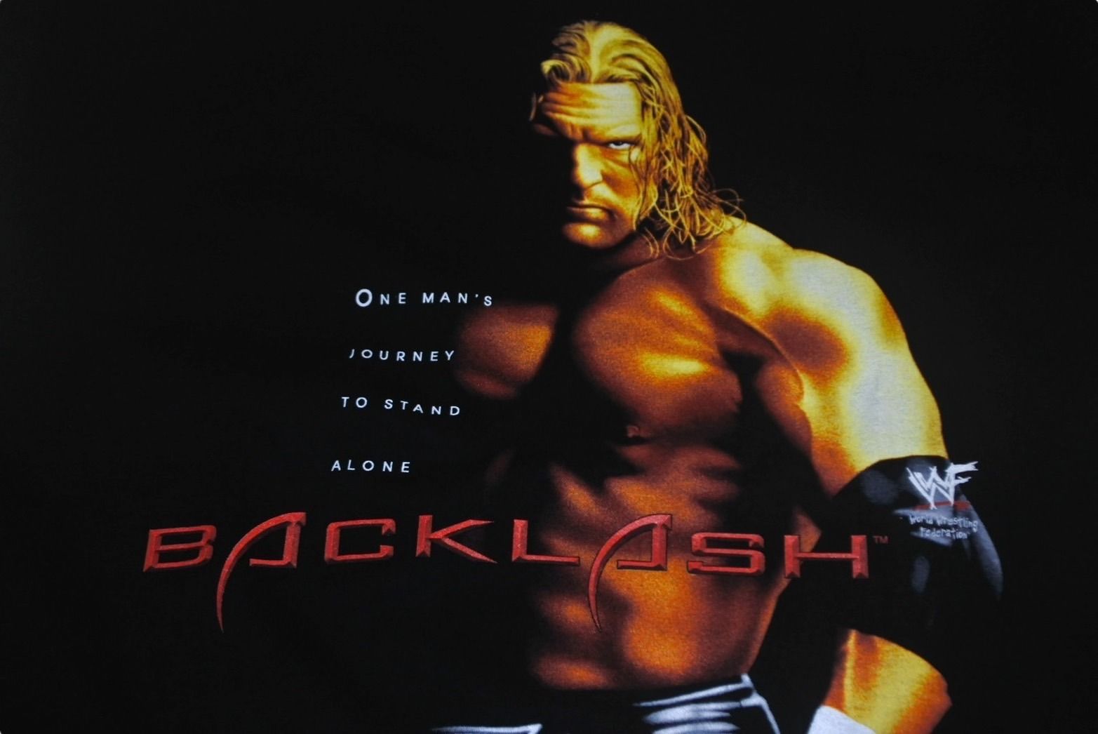HHH トリプルH THE GAME WWF WWE 2002 Tシャツ M ブラック