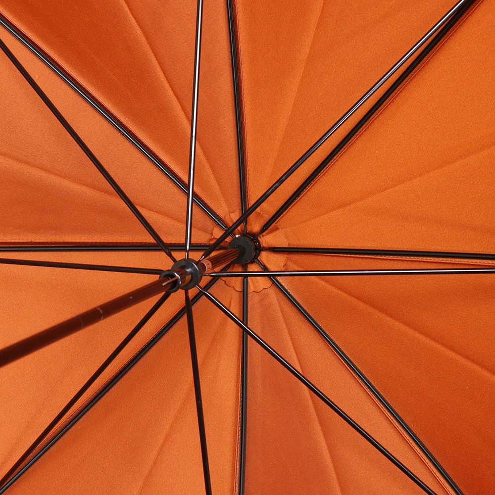 雨傘 日傘