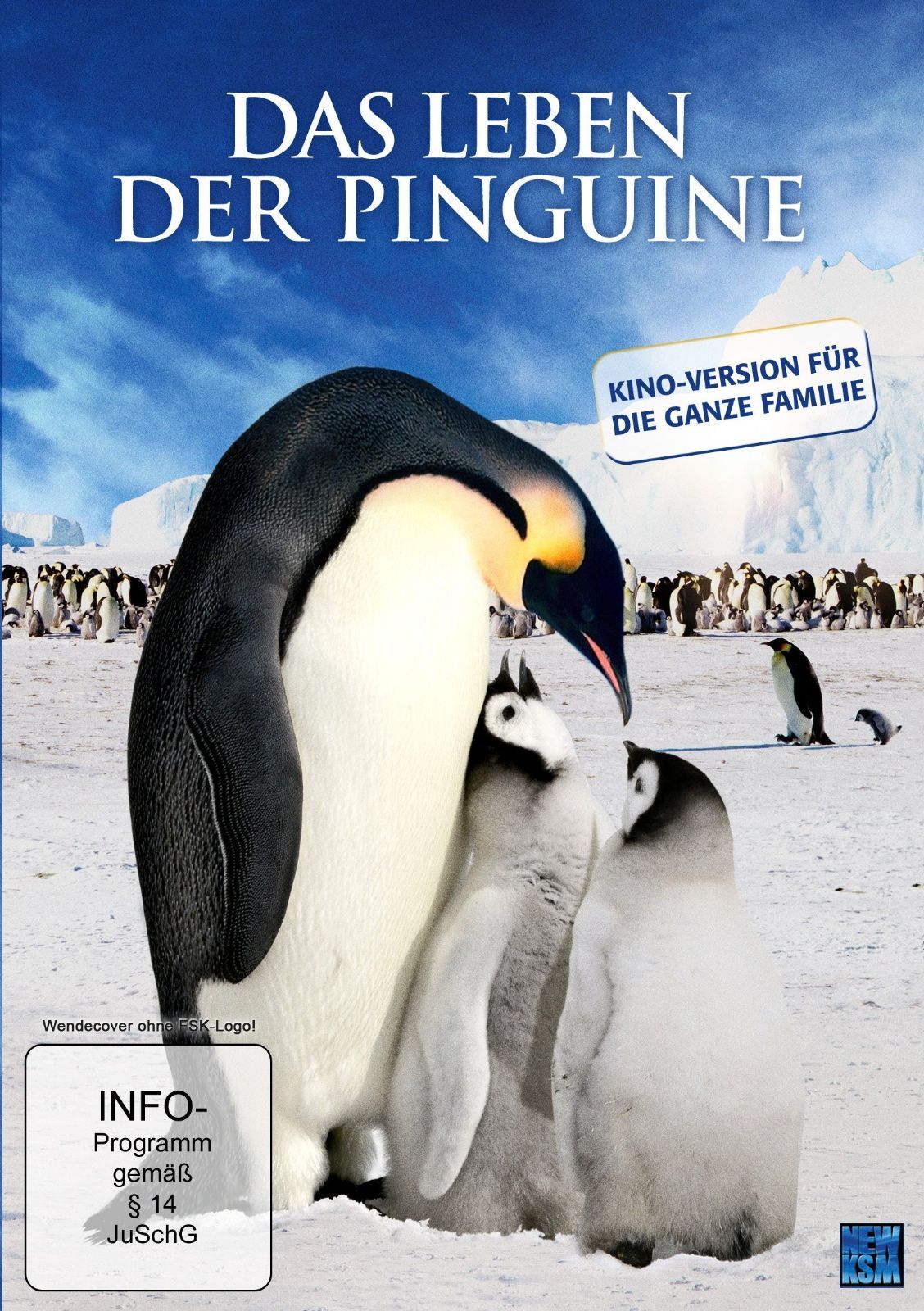 Das Leben der Pinguine Import anglais