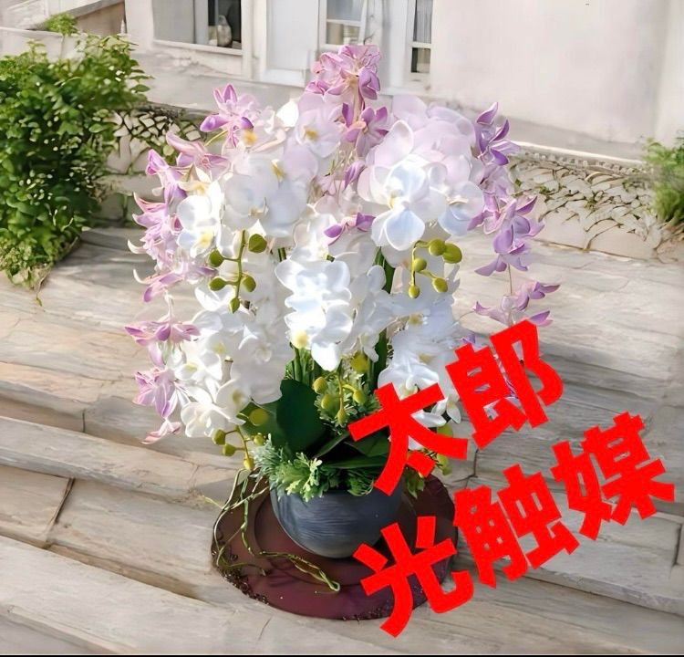光触媒 人工観葉植物 ウォールグリーン フェイクグリーン 胡蝶蘭と