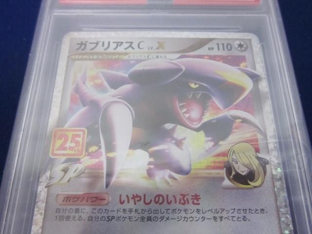 S8a-P-018 ガブリアスC