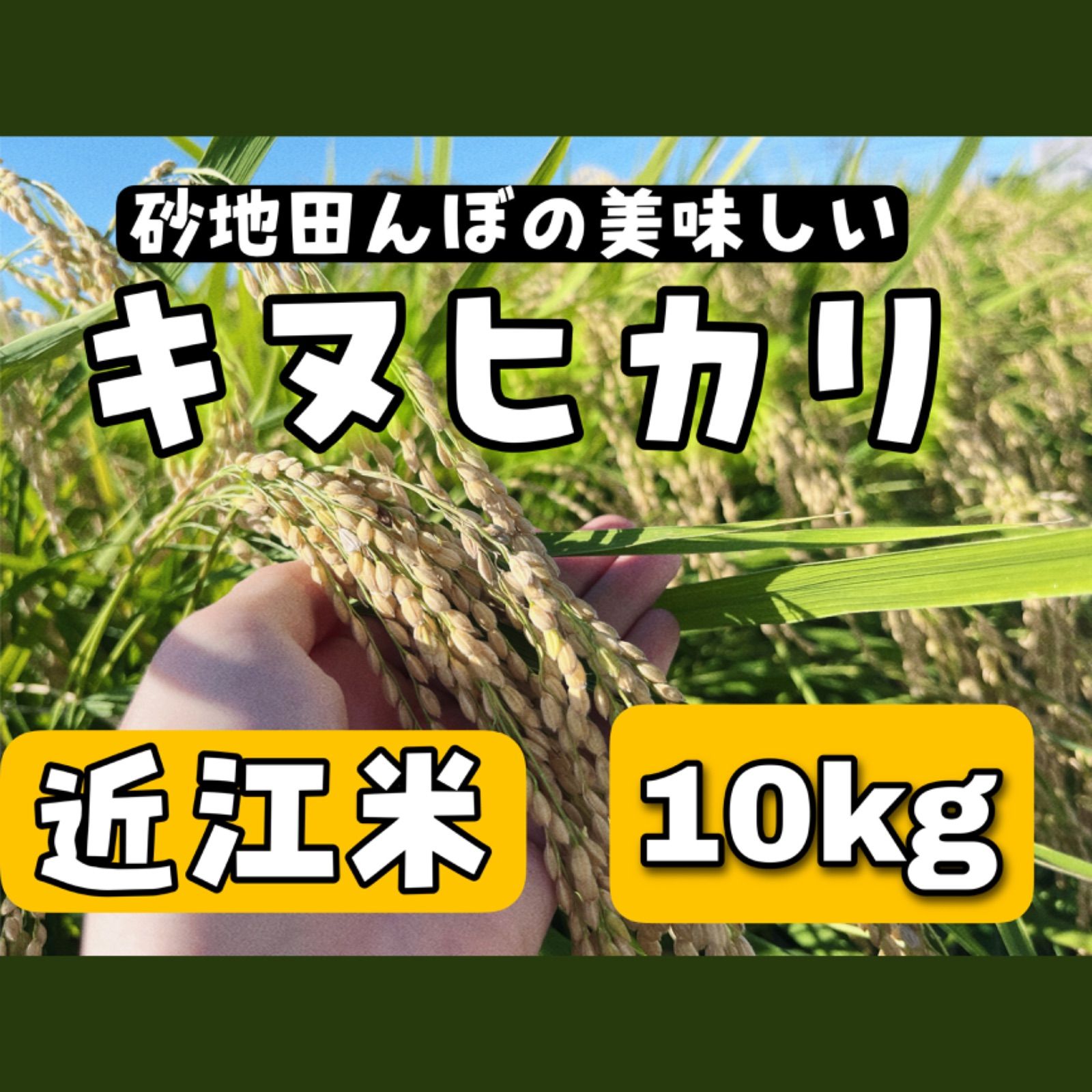 令和4年新米！近江米キヌヒカリ10kg - メルカリShops