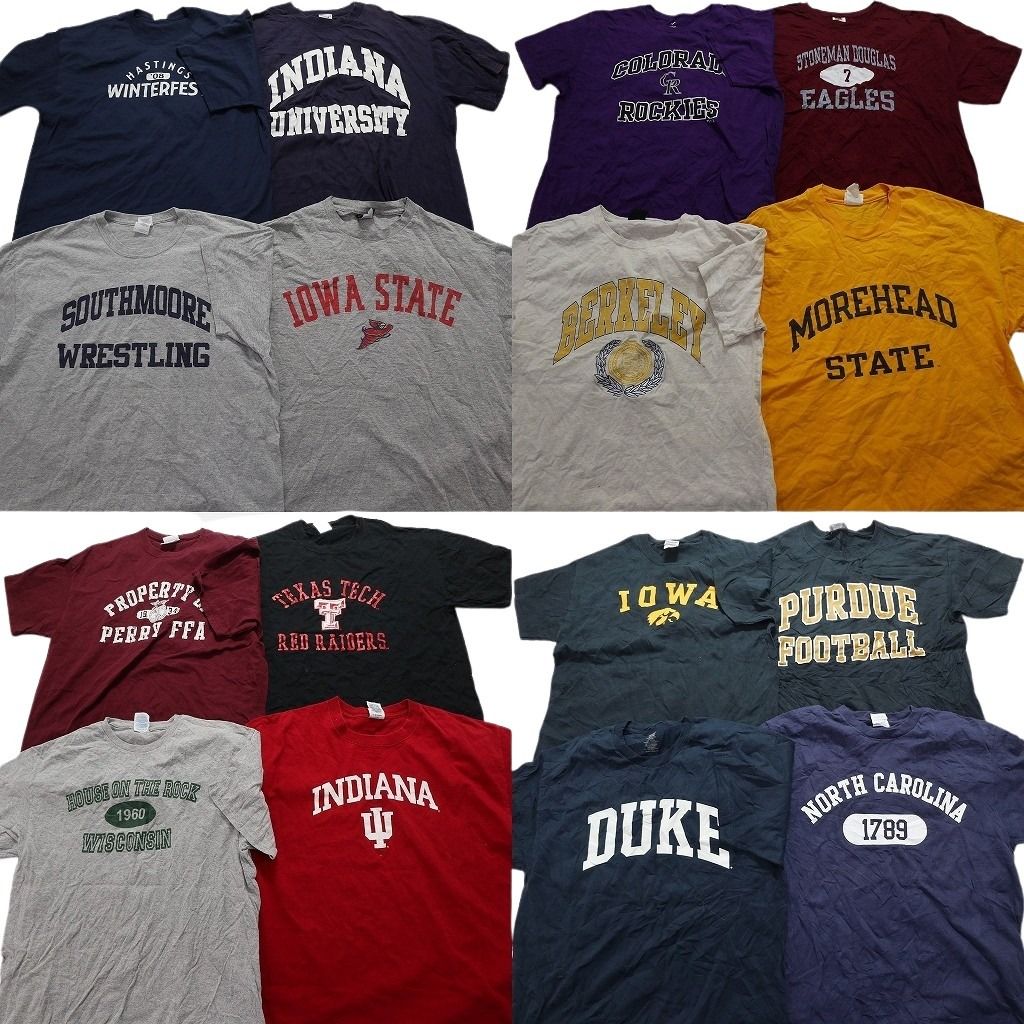 古着卸 カレッジ風 半袖Tシャツ 16枚セット メンズ L |XL 3段プリント コロラド インディアナ 古着 NA2195