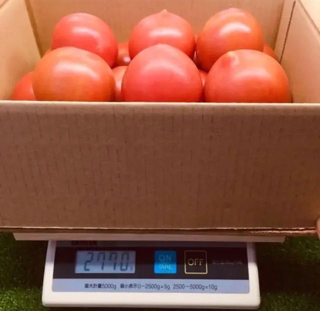 甘熟❣️桃太郎🍅2.6キロ！バラ詰め！農家👩‍🌾より直送！🚚メルカリ便80サイズ段ボール！