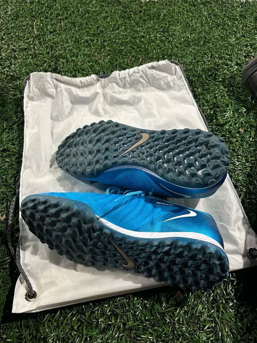 【海外限定】モレリア2 ERITE 25.5cm トップモデル Salomon Malamute スノーボードブーツ サイズ8