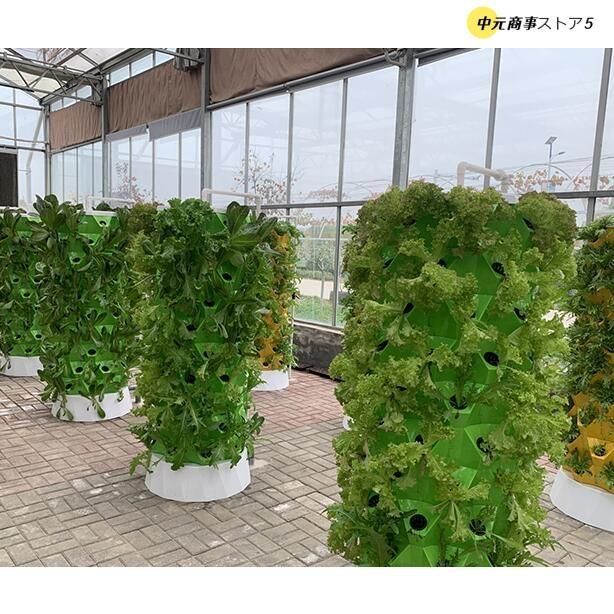 水耕栽培キット