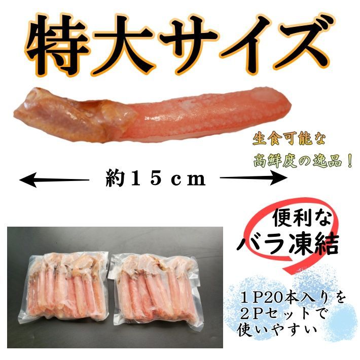 20本×４P 1232-2P