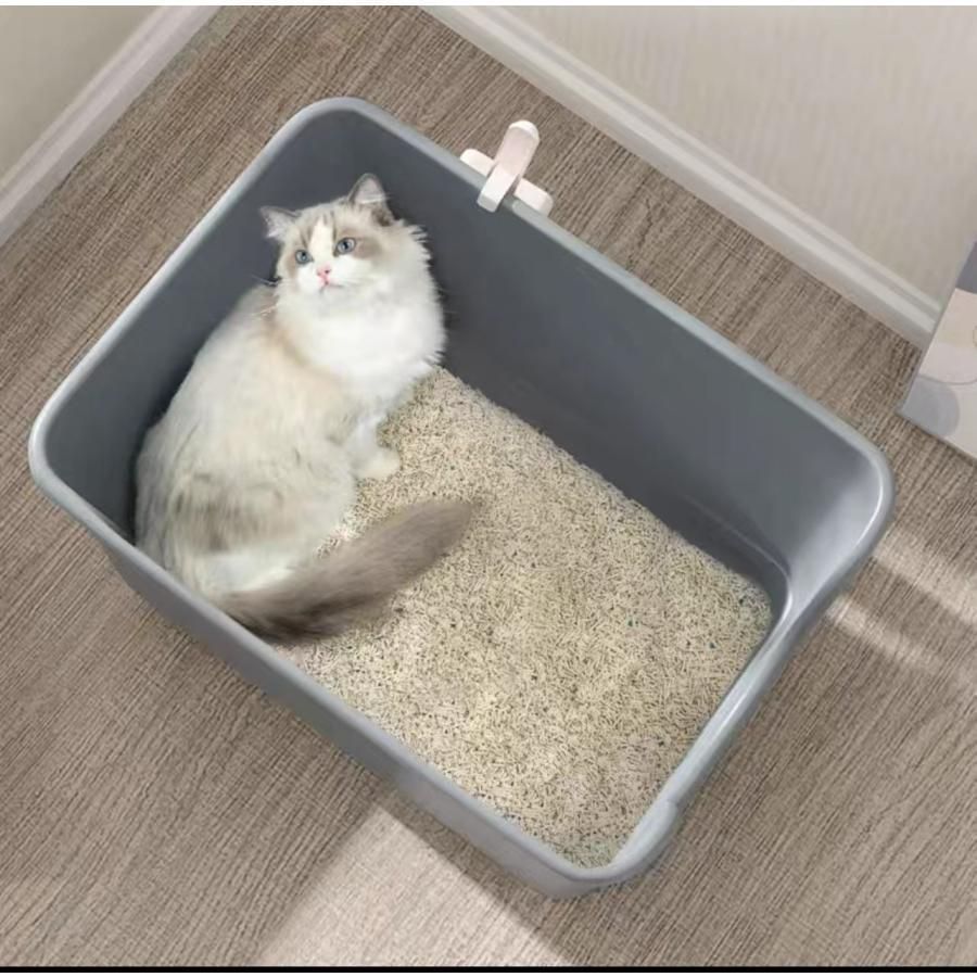 猫ネコ
