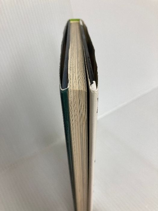 おとなもブルブルようかい話 (日本のおばけ話・わらい話20) 岩崎