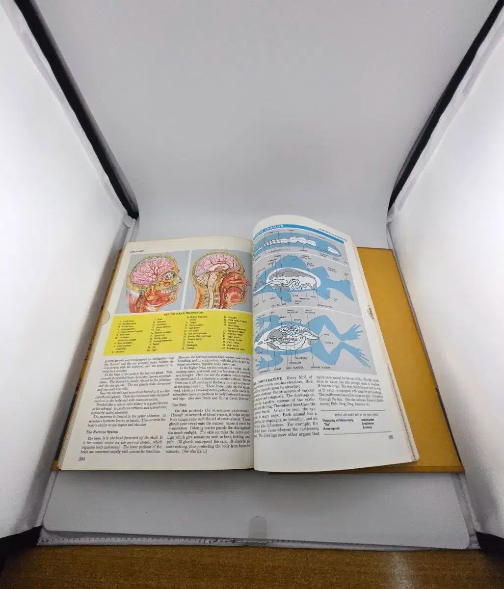 コンプトン百科事典 全集