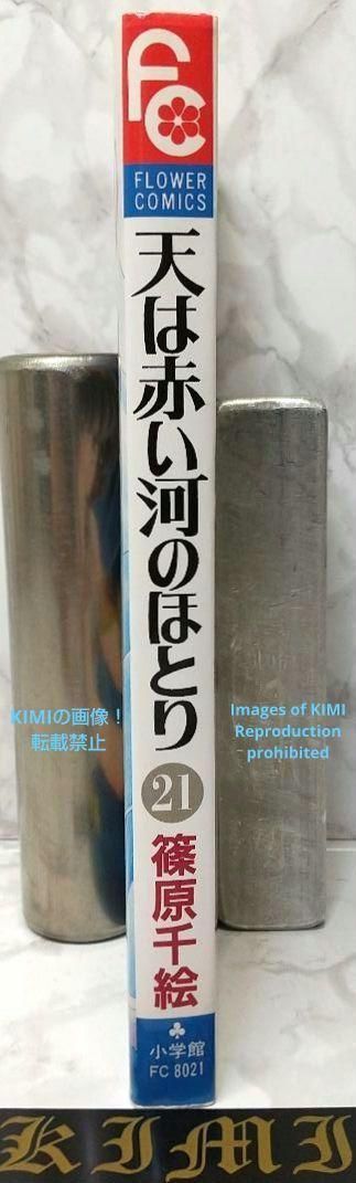 希少 初版 第1刷発行 天は赤い河のほとり 21 コミック 漫画 本