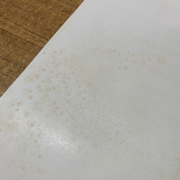 eastern youth 箸 eastern youth 田森篤哉 使用ドラムスティック