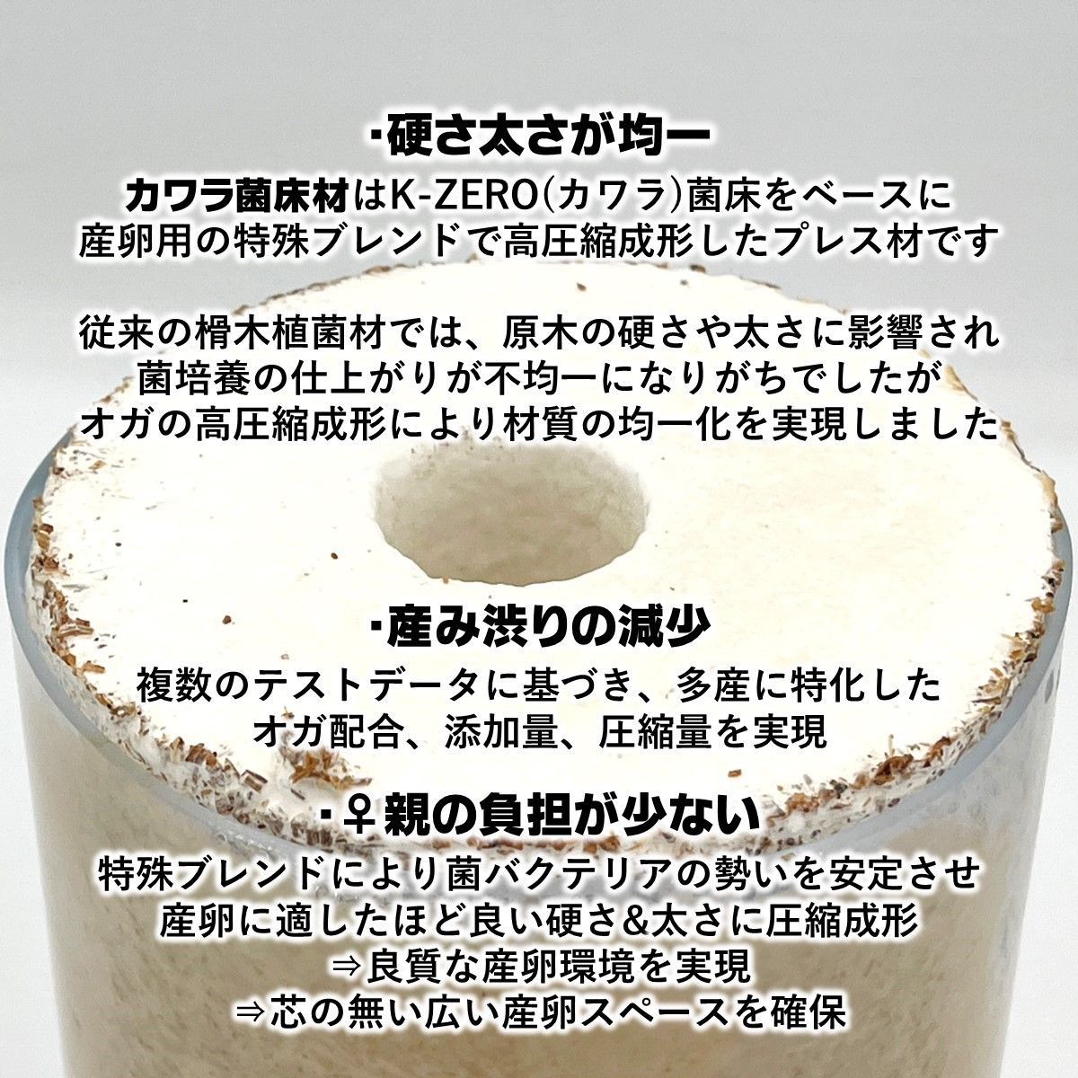 カワラ材 カワラ菌糸