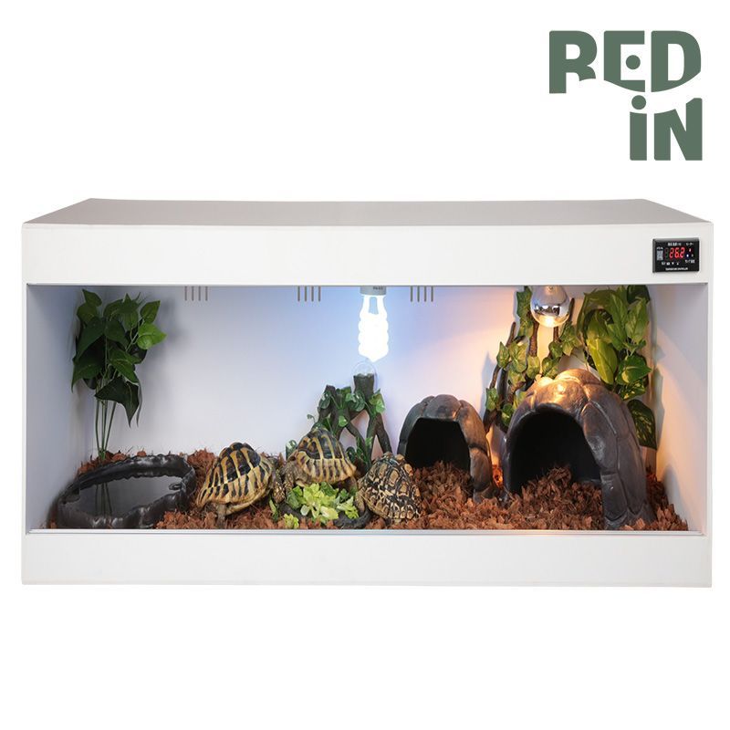 Red in フォルマックス爬虫類ケージトカゲ飼育場 XLサイズ (120cm 