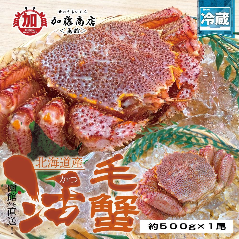 函館から直送 北海道産 新鮮 活毛蟹 約500g×1尾 送料別途 冷蔵 新鮮 濃厚 カニ味噌 生きた毛ガニ 活きた毛がに 生蟹 お刺身 生食