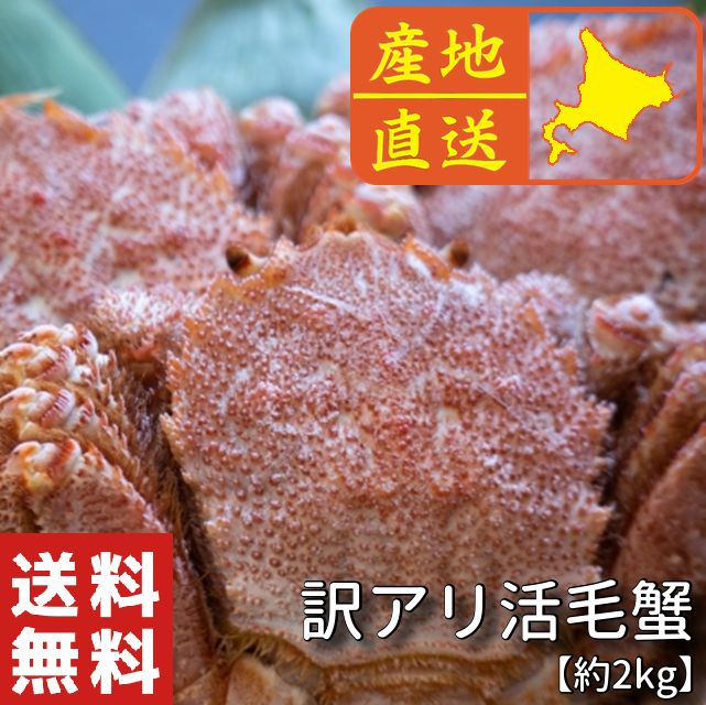 【北海道産】 訳アリ活毛蟹 (6～8尾・約2kg)◆毛ガニ 毛がに けがに 活 訳アリ】北海道産 活毛蟹 6-8尾(約2kg)＊直送 - メルカリ