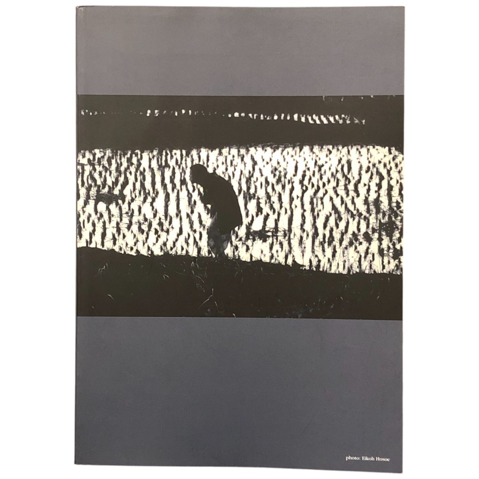 土方巽の舞踏 肉体のシュルレアリスム 身体のオントロジー ( 川崎市