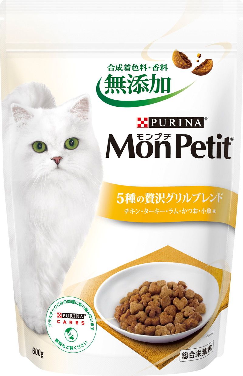 BABYL VIPパス&ミニ写真集セット 2015年ワールドツアー BABYL VIPパス