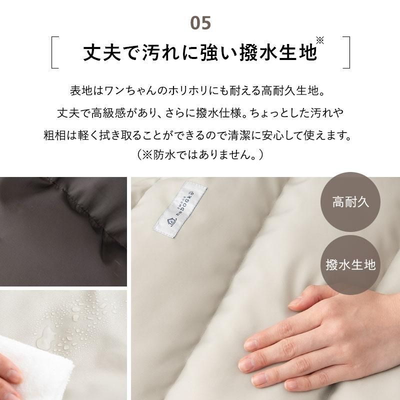 猫 ペット