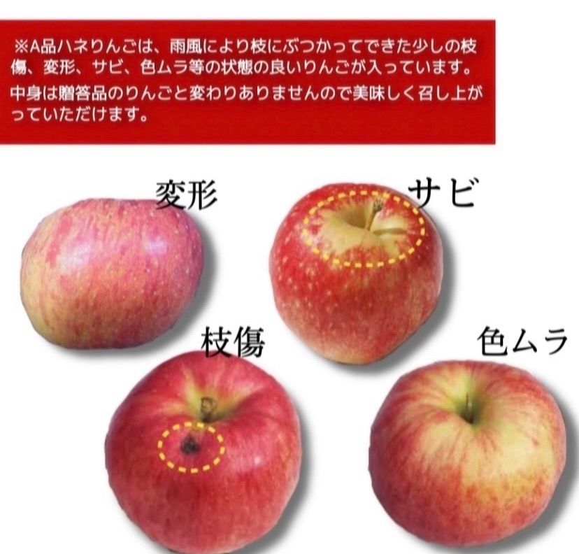 青森県産  サンふじ  北斗 りんご【A品10kg】【送料無料】【農家直送】-4