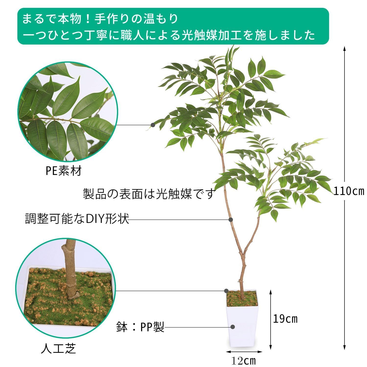 観葉樹