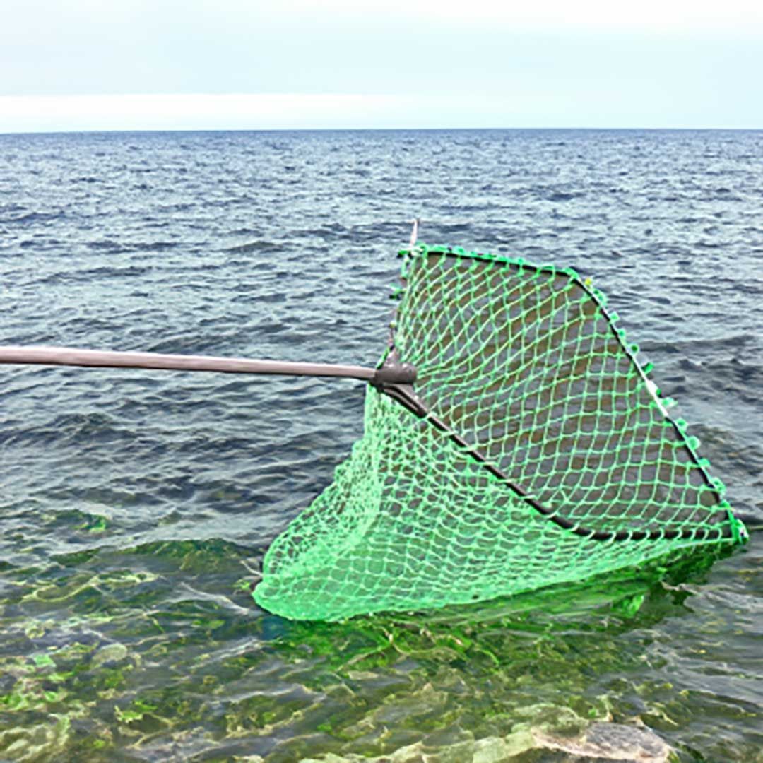 特大 タモ 網 ネット 人も入れる大きさ 特大網のタモ 釣り網 釣り