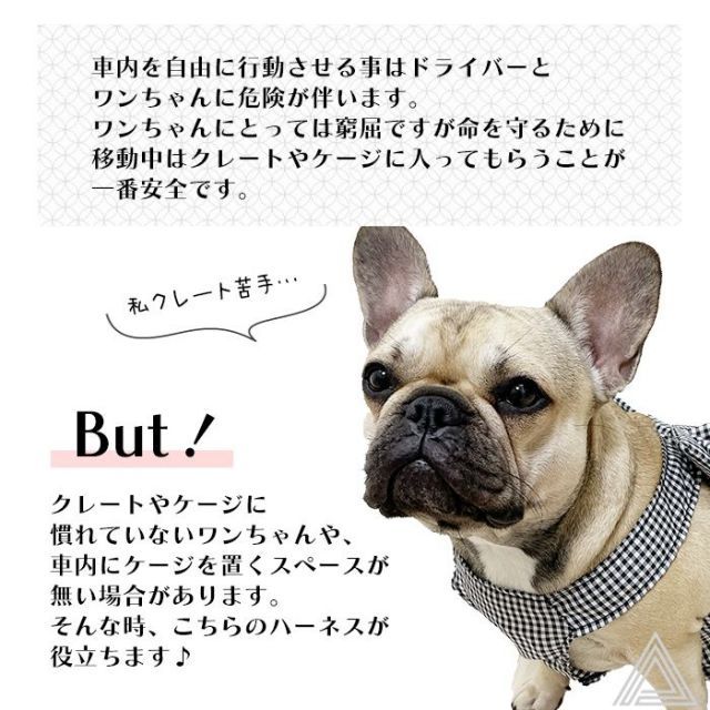 中型犬
