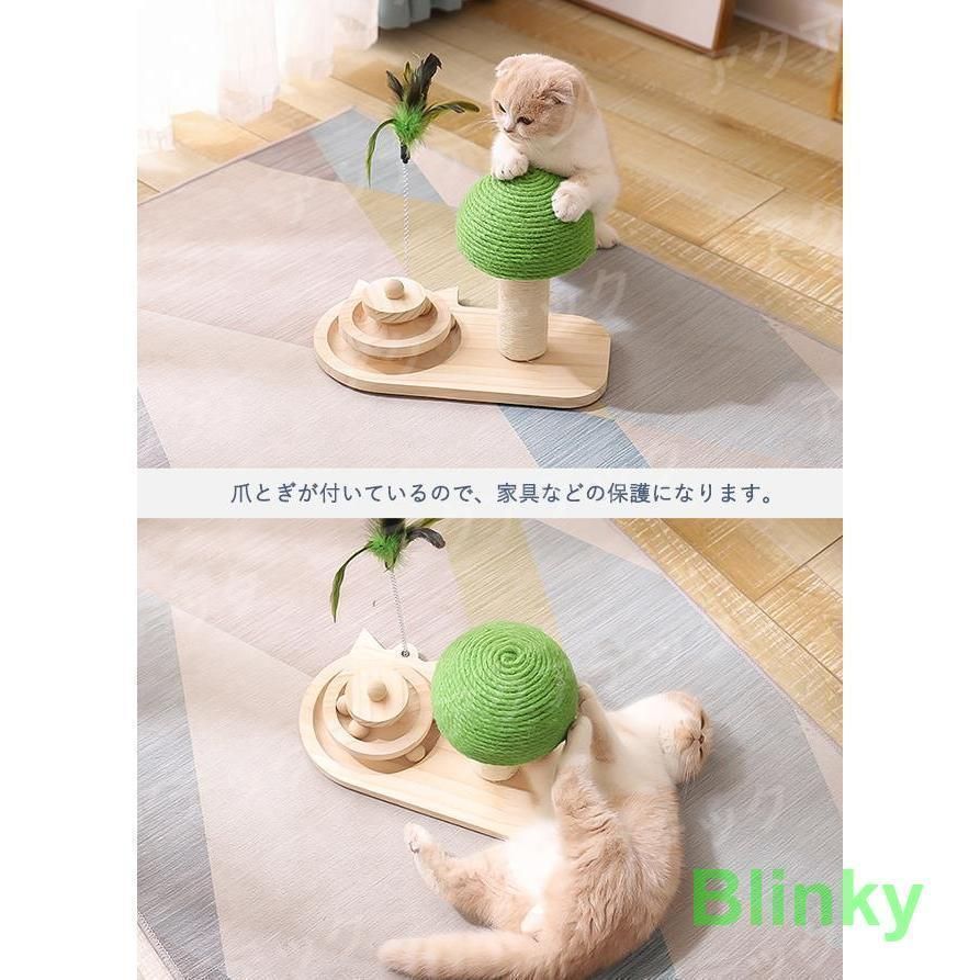 ねこ
