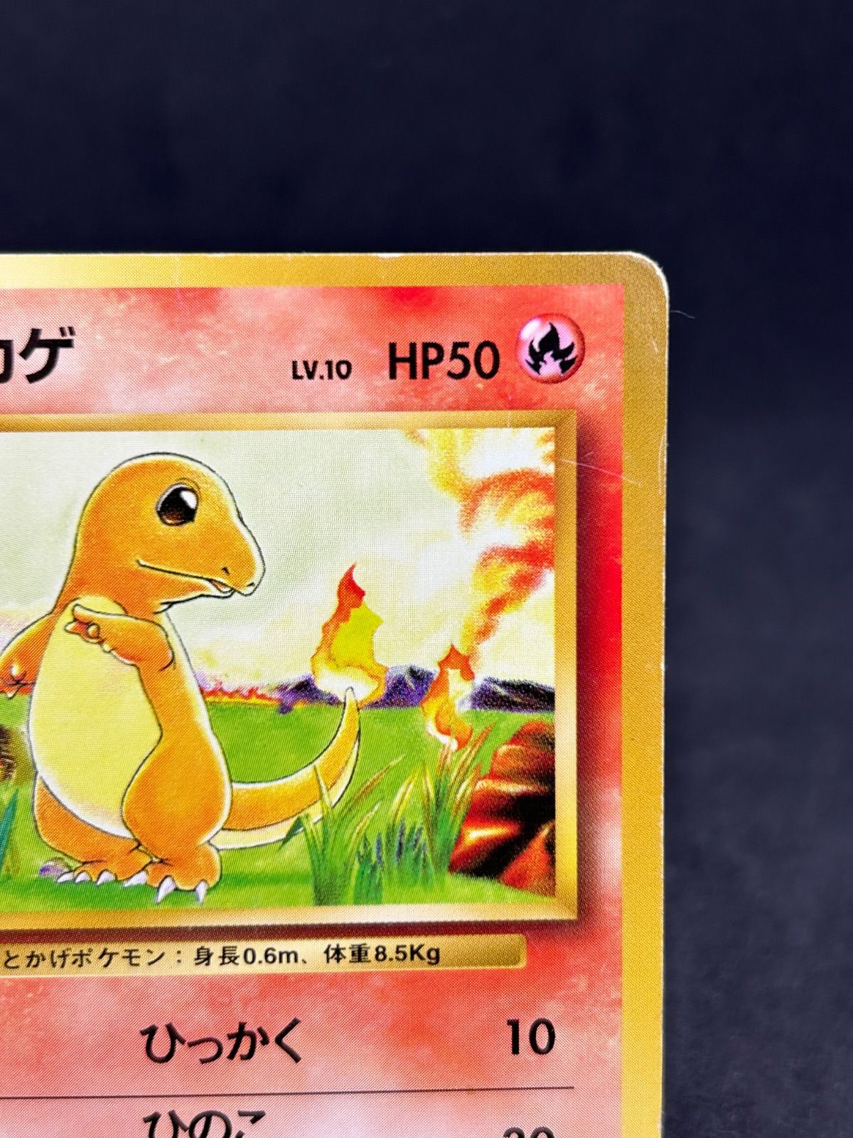 【PSA6】 ヒトカゲ ポケモンカード 旧裏 初版 マークなし ポケモンカード ヒトカゲ 旧裏 初版 マークなし - メルカリ