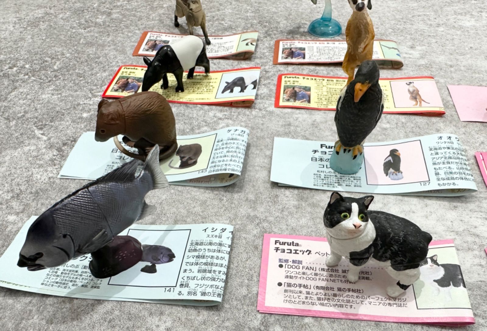 海洋堂】チョコエッグ チョコQ 24点セット - メルカリ