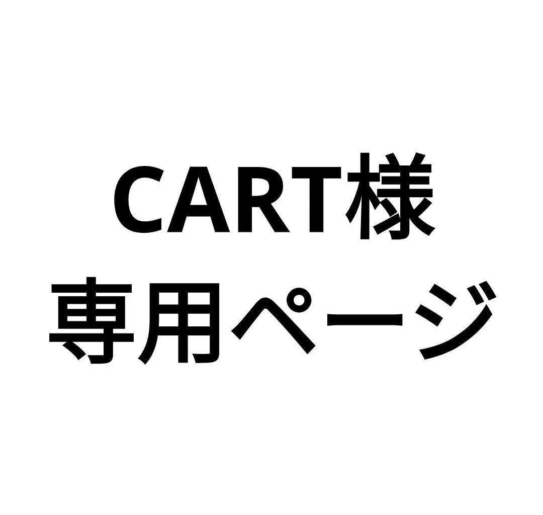 yy専用出品 サンバイザーポケットフルサイズ3 | カー用品のセイワ