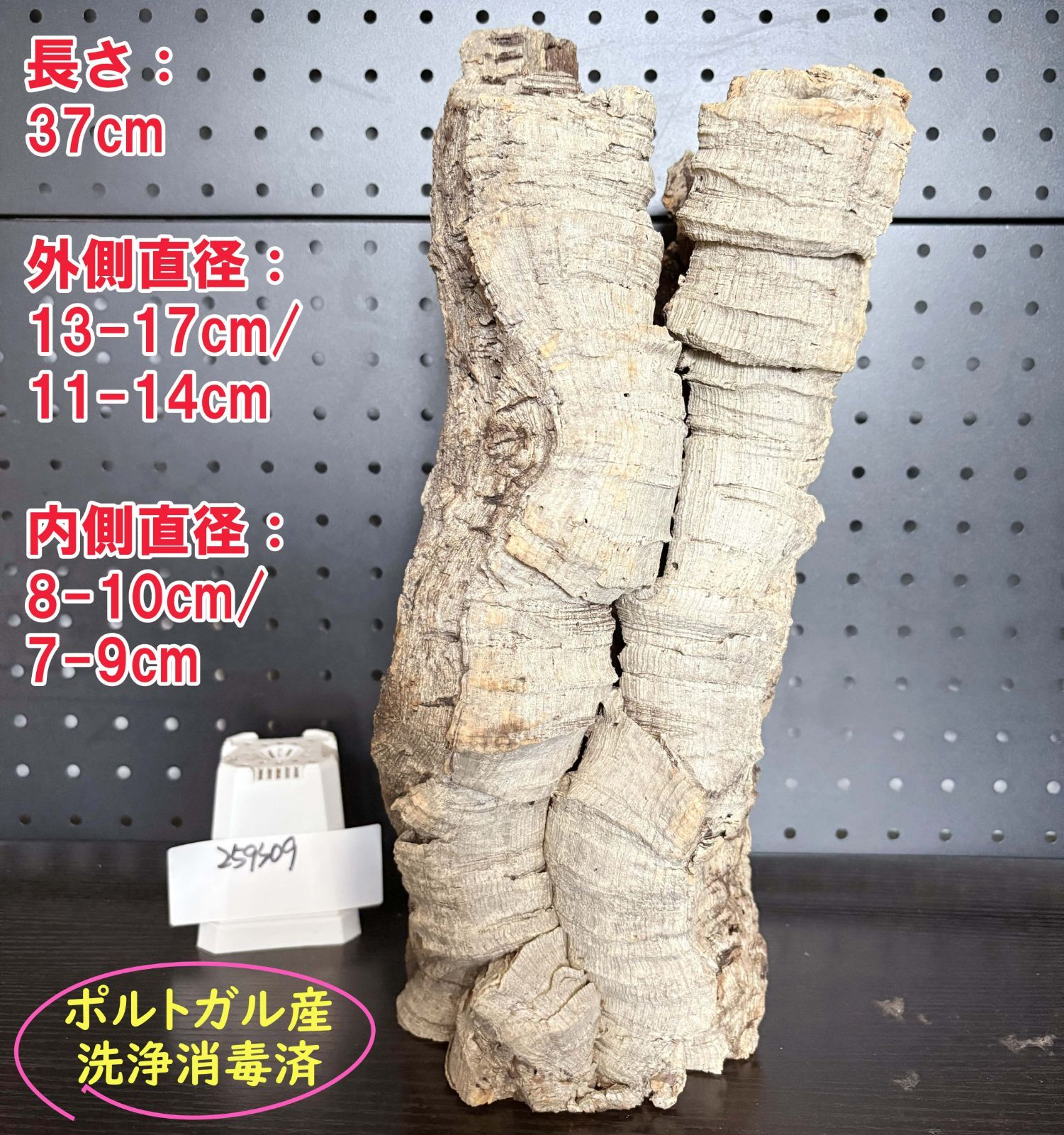 259S09 ポルトガル産 キャノンコルク コルク樹皮 コルク板 バージンコルク 送料無料 チランジア ビカクシダ 着生ラン 両生類 爬虫類