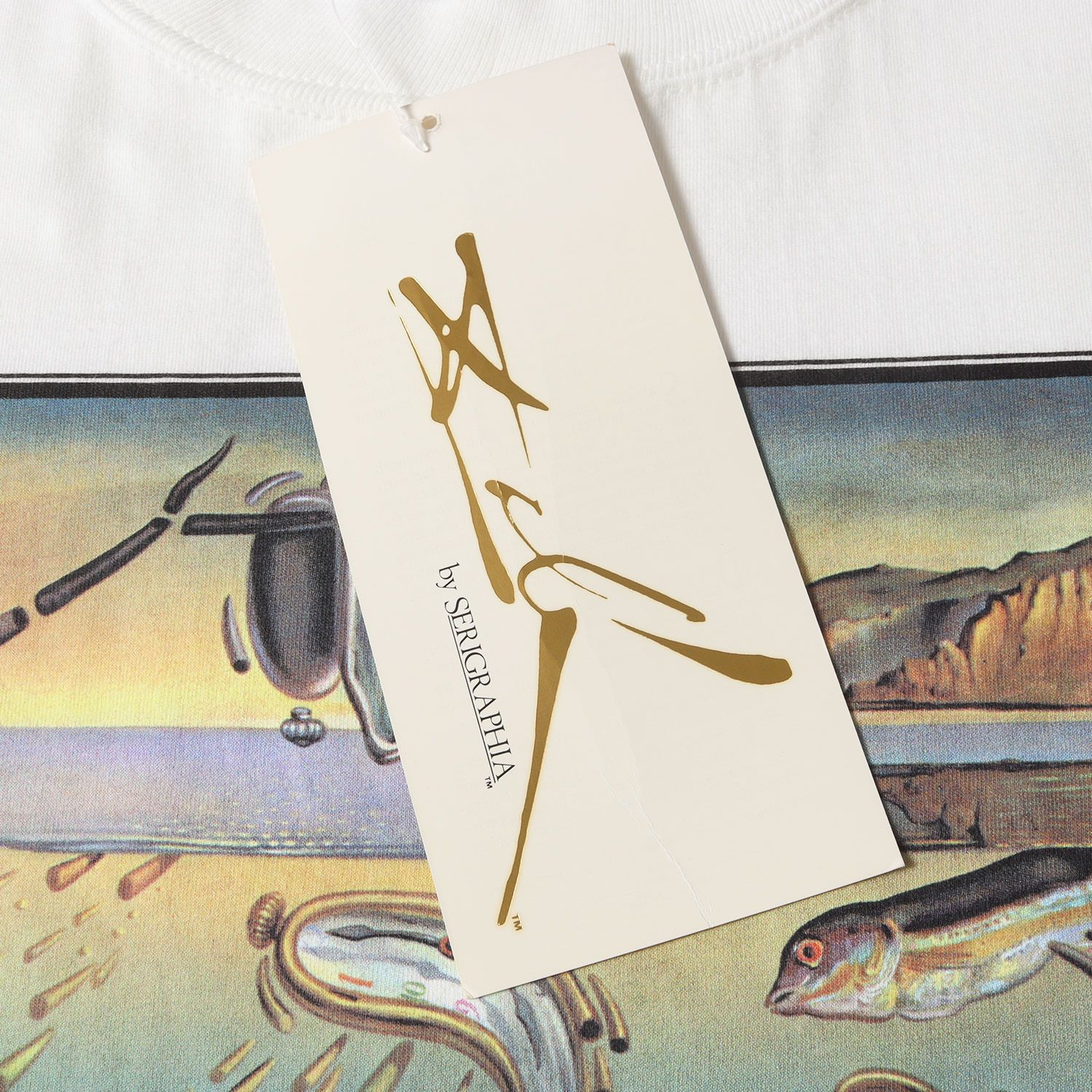 salvador dali 記憶の固執の崩壊　Tシャツ 90's Salvador Dali Art T-shirt 