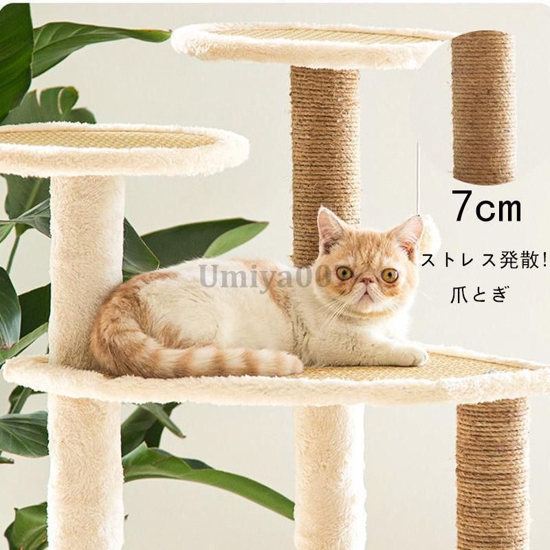 爪とぎ